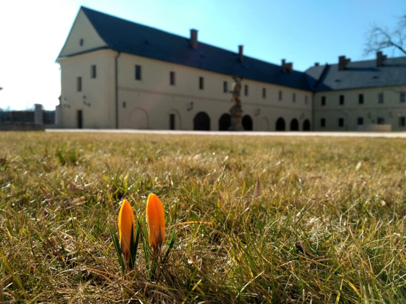 Bylinková zahrada v Kuksu Bylinková zahrada v Kuksu