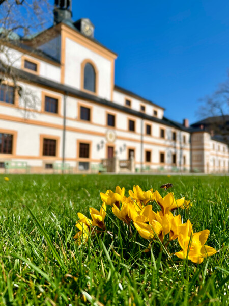 Hospitál Kuks nabídne v roce 2025 několik zpestření Hospitál Kuks nabídne v roce 2025 několik zpestření